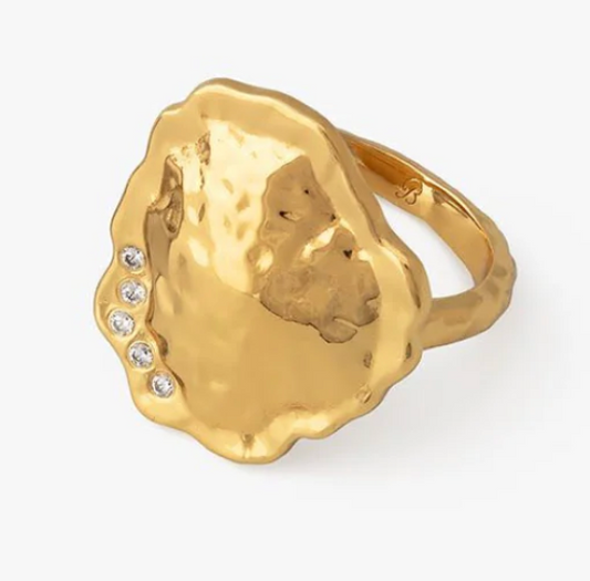 BR.RG.21936-1090:: HAMPTON PARK RING BRASS-GOLD 6.25